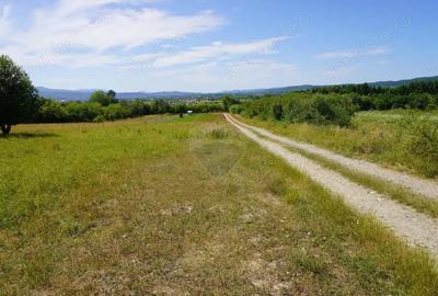 Teren 1,343mp Sighetu Marmatiei / Strada Doboies - 5