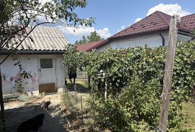 Casă cu 3 camere în Uiasca - 7
