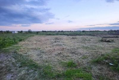 Teren Construcții intravilan de 655 mp, în Bragadiru