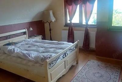 Casa cu 1200 mp Sanmihaiul Roman la cheie - 2