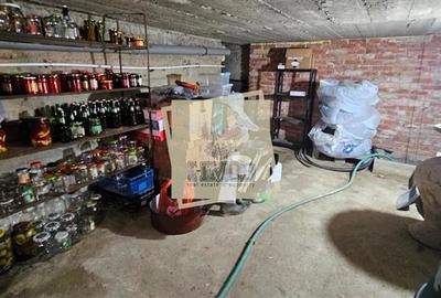 Casă individuală cu 10 camere cu Canalizare în Daia - 23