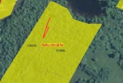 Teren de 6300 mp, în Tărlungeni - 13
