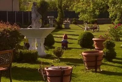 Casă individuală cu 4 camere cu Teren 7050 Mp în Odăile - 2