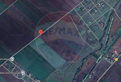 Teren 10.875 MP | Halchiu | Jud. Brasov - 5