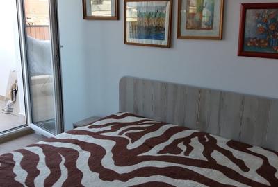 Garsonieră decomandată în Dosu Bricii - 2