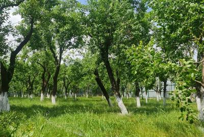 Spațiu comercial, de 1,068 mp, în Central - 11