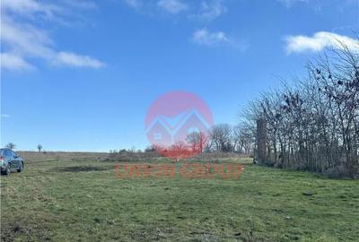 Teren de 1200 mp, în Central - 6