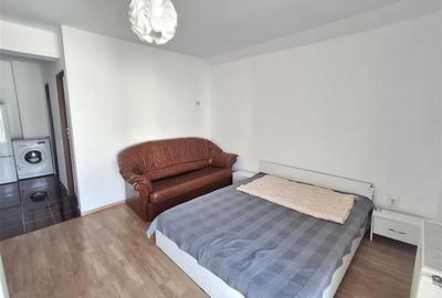 Garsonieră decomandată în Turnișor - 9
