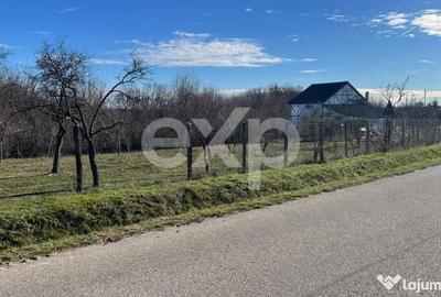 Casă cu 2 camere cu Teren 3772 Mp în Cocu - 3