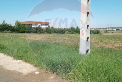 Teren Construcții intravilan de 2374 mp, în Cheriu - 4
