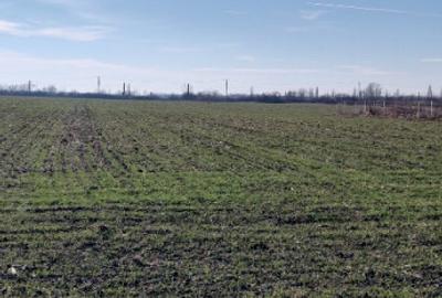 Teren de 700 mp, în Odăi - 3