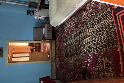 Vand casa Viisoara jud.Mures - 4