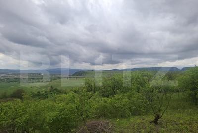 Teren intravilan 2691 mp, aproape de zona centrala - 3