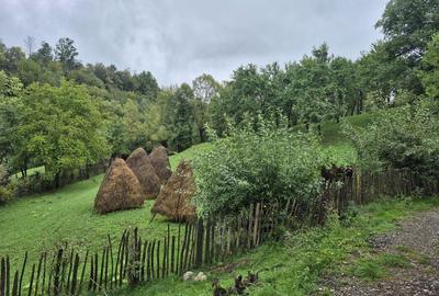 Teren cu vedere superba către munte -1656 mp, dubla deschidere! - 3
