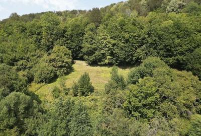 Teren intravilan de 1500 mp pe deal in Moneasa - 3