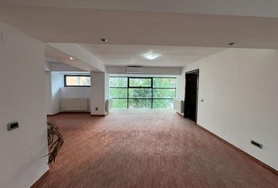 Birou, de 130 mp, în Unirii - 13