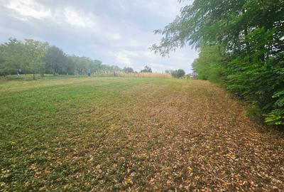 Teren intravilan, cu priveliște spre pădure – Vălenii de Munte - 5