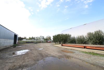 Baza de cereale in functiune , 4500 mp intravilan + 2 depozite (aprox 1000mp) - 6