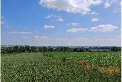 Teren extravilan Bosanci, ID: R2649420 - 16