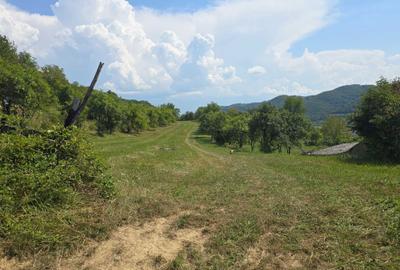 Teren de 3000 mp, în Exterior Vest - 2