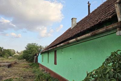 Casa de vanzare in Ortisoara - 3