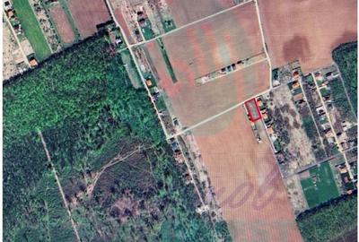 Vanzare teren constructie casa CIOFLICENI - SNAGOV - 4