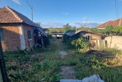 Teren intravilan , 1100mp , front 12,60 m , intrare Filiasi - 6