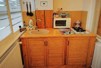 Apartament in casa cu gradina strada Dragalina - 8