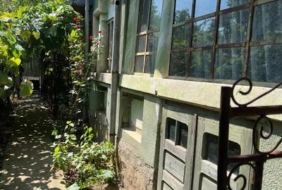 Vand casa in Perisor - 2