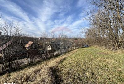 Teren de 10000 mp, în Moldovenești