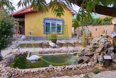 Casă individuală cu 4 camere cu Piscina în Bariera Vâlcii - 19