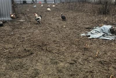 Spațiu comercial, în Central - 2