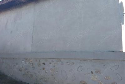 Casă cu 3 camere cu Teren 10000 Mp în Bustuchin - 2