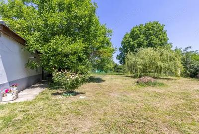 Proprietate versatila cu casa, doua hale ?i teren generos - 1