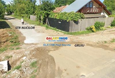 Teren Construcții intravilan de 2010 mp, în Gruiu - 2