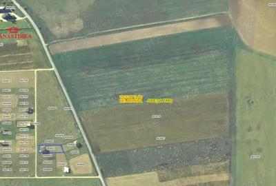 CASA NOUA la 10 km de Lugoj CASA NOUA la 10 km de Lugoj - 5