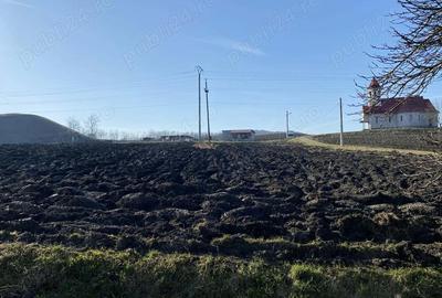 Casă cu 2 camere în Central - 1