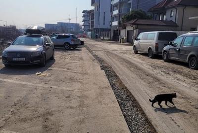 EXCLUSIVITATE! TEREN UNICAT MAMAIA NORD - 8