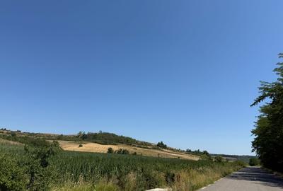 Colaret, Mehedinti - 3