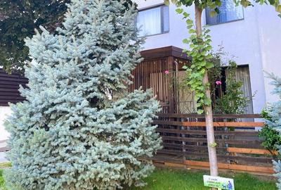Baneasa | Apartament 3 cam 78mp | Terasa superba | Mobilat,Loc Parcare - 15
