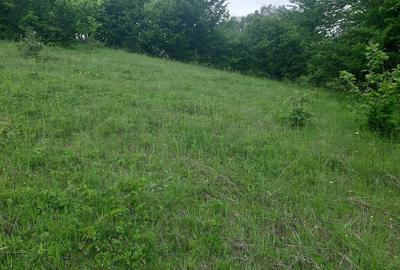 Teren de 2200 mp, în Dăești - 4