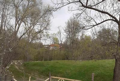 Teren de 4653 mp, în Valea Danului