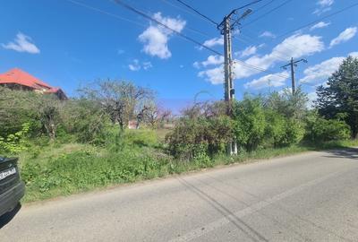 Teren de vanzare in Campina in zona retrasa - 1