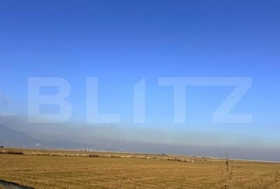 Teren de inchiriat 10.000mp -CRISTIAN - 3