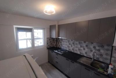 Basarabia Particular Chi?inau Proprietar Delfinului - 2