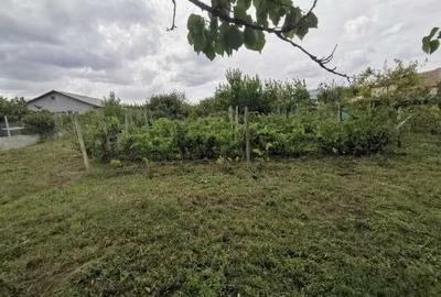 Teren de 800 mp, în Siminoc - 5