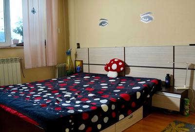 Apartament cu 3 camere decomandat în Gheorghe Doja - 4