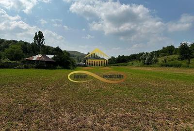 Casa batraneasca cu 2ha de teren de vanzare in sat Balaia / Bacau - 15