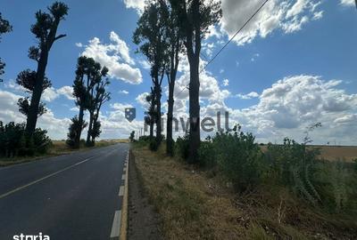 Teren de 26000 mp, în Ștefăneștii de Jos - 3