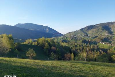 Teren de 11048 mp, în Moieciu - 2